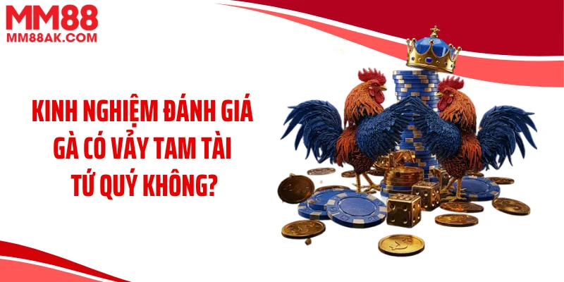 Kinh nghiệm đánh giá gà có vảy tam tài tứ quý không?
