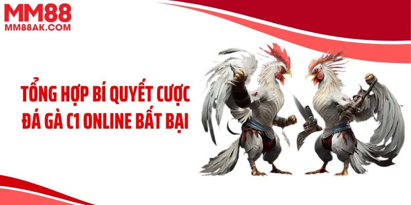 Tổng hợp bí quyết cược đá gà C1 online bất bại