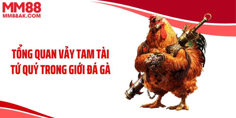 Tổng quan vảy tam tài tứ quý trong giới đá gà